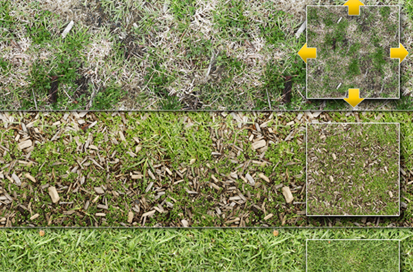 10 Tileable Grass Patterns