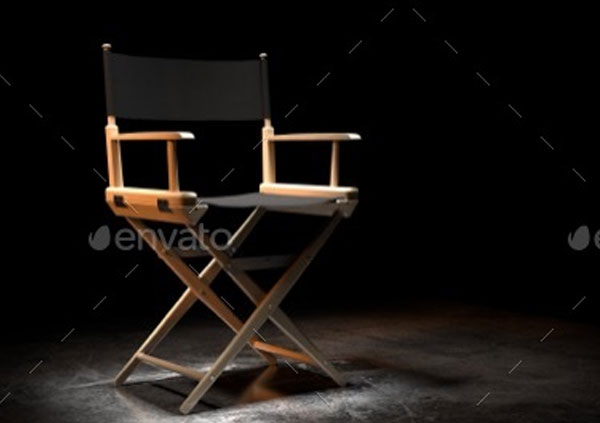 3D Director Chair