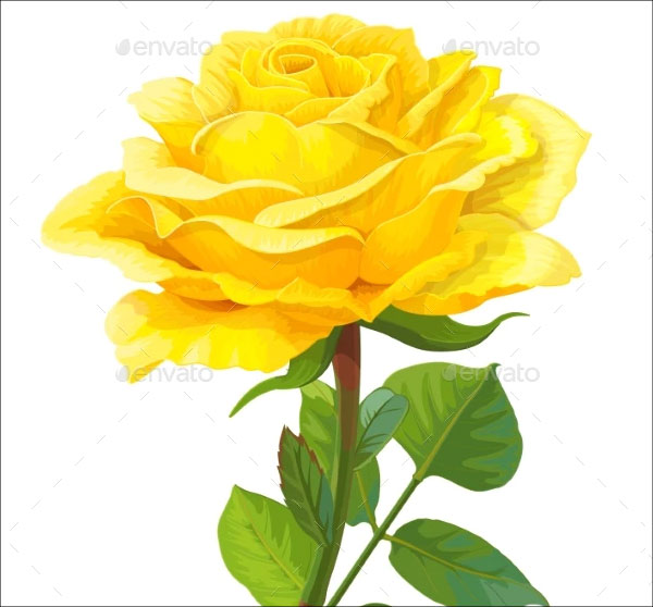3D Realistic Rose Model Flower