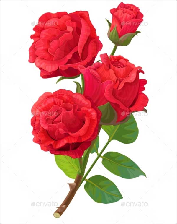 3D Red Rose Models