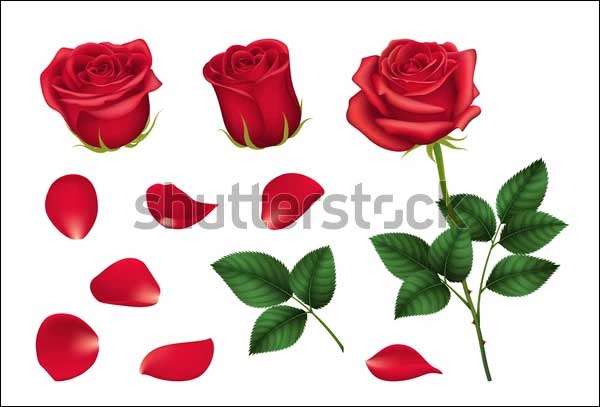 3d Elements Set of Red Roses Models
