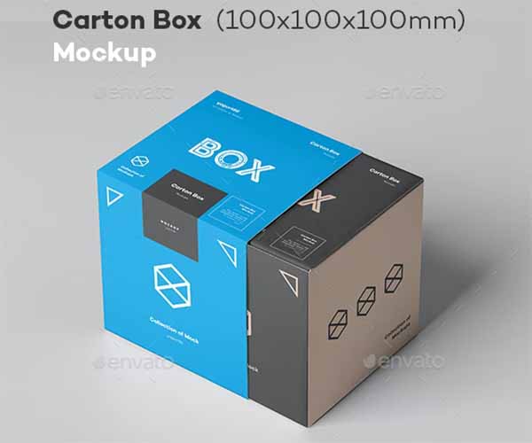 Best Carton Box Mockup
