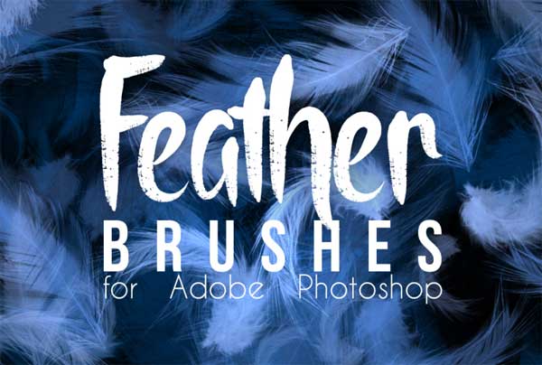 Best Feather Photoshop Brushes