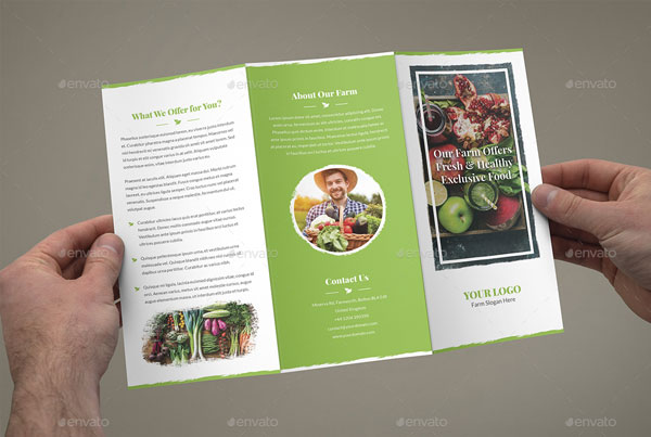 Organic Food Tri-Fold Brochure Template