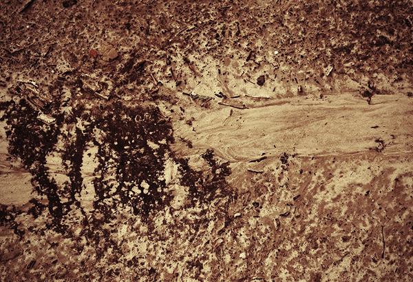Dirt Texture Photo