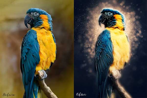 Editable Light Effect Photoshop Actions