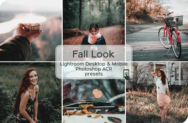 Fall Look Lightroom Desktop and Mobile Presets