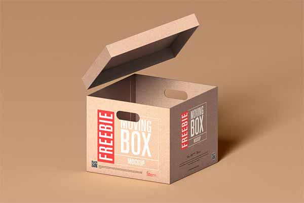 Free Carton Box Mockup