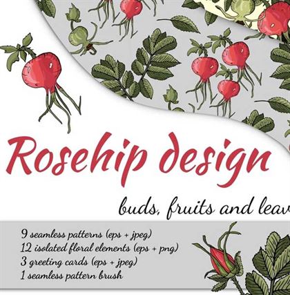 Fruits and rosehip Package Design Templates