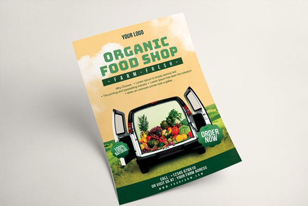 Healthy Organic Food Flyer