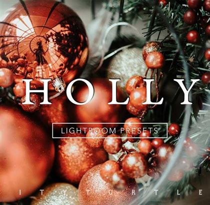 Holly Rich Vibrant Lightroom Presets Templates 