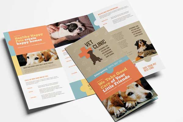 Home Vet Clinic Trifold Brochure Template