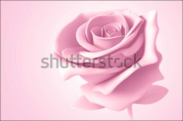 Light Pink Rose Color Model 3D