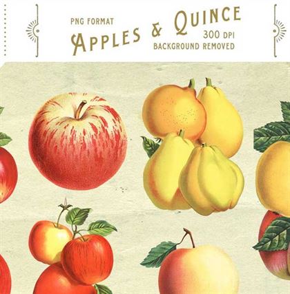 Massive Vintage Fruit Package Design Templates