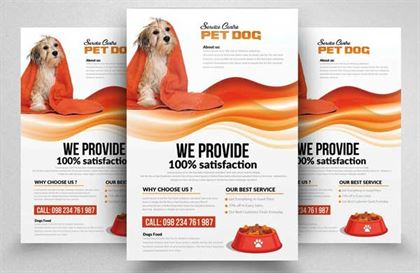 Modern Pets Care Flyer Design