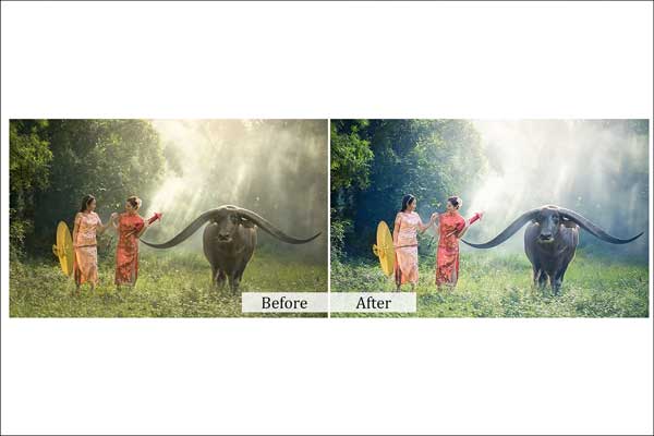 Nature Effect Photoshop Actions
