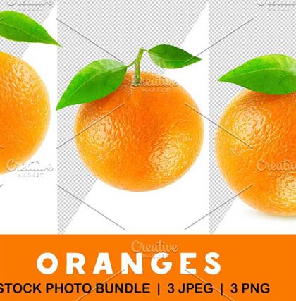 Orange Fruit Package Design Templates