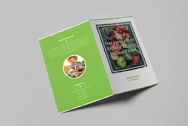 Organic Food Brochure Bundle Print Template
