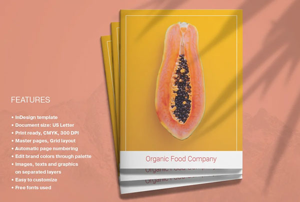 Organic Food Brochure Layout
