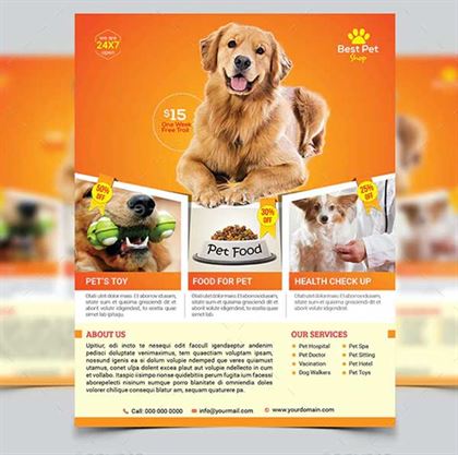 Pet Feeding Shop Flyer Template
