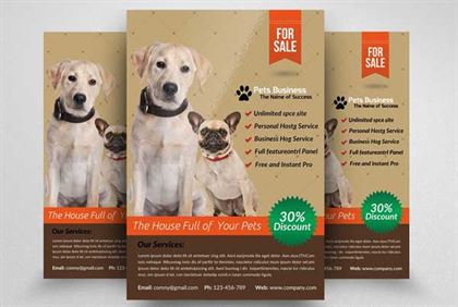 Pet Shop Business Flyer Design