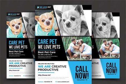 Pets Care Flyer Template