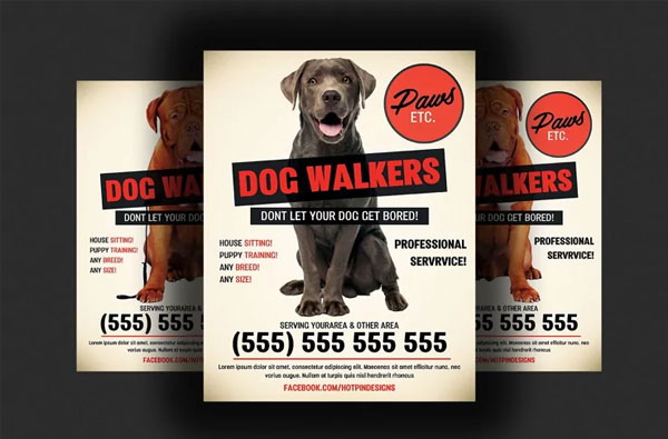 Professional Dog Walkers Flyer