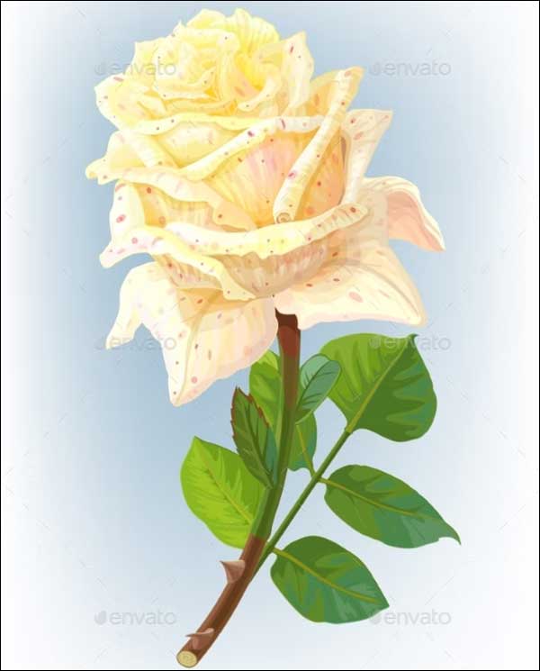 Realistic 3D Rose Models Flower Art