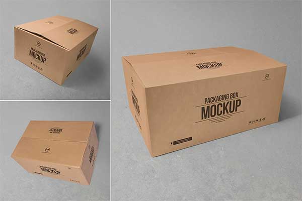 Sample Cardboard Box Mockups