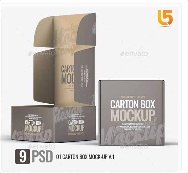 Sample Carton Box Mockup