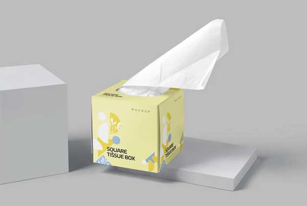 Sample Square Tissue Box Mockups