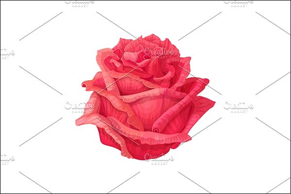 Simple 3D Red Rose Models
