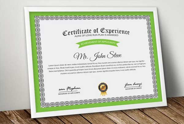 Simple Certificate of Experience