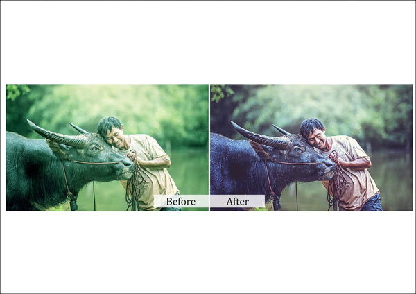Simple Nature Photoshop Actions Template