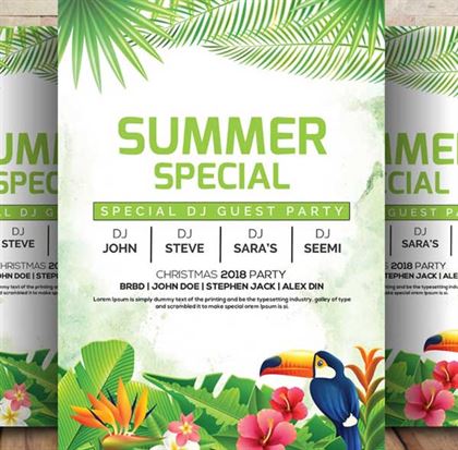 Summer Special Party Flyer Templates