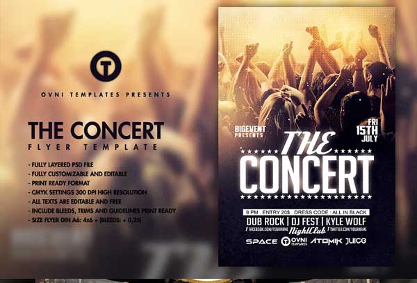 The Concert Brand Flyer Template