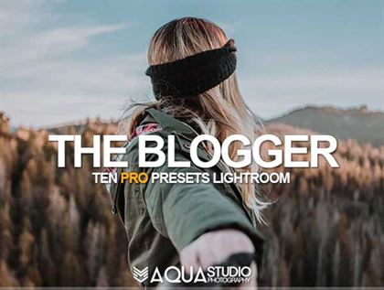 The Blogger Lightroom Presets Templates