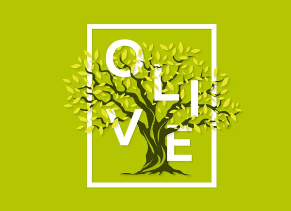 Vector Olive Tree Logo Design