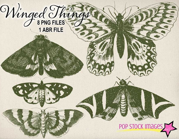 Vintage Winged Things Brushes